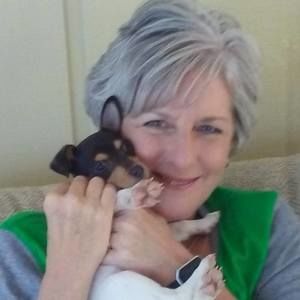 Meet your Posher, Sandy